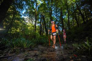 BIB: 
                            <button type="button" onclick="openModal(19229761)" class="btn btn-primary btn-sm float-right btn-popup" data-toggle="modal" data-target=".modal-high-quality">
                        <i class="fas fa-shopping-cart"></i> Add to Cart
                    </button>
                                            <button type="button" onclick="isThisMe(19229761, true)" class="btn btn-success btn-sm float-right btn-popup btn-isme hidden" data-toggle="tooltip" data-placement="bottom" title="นี่คือรูปของคุณใช่ไหม คลิกที่นี่เพื่อเอาเข้าอัลบั้ม">
                        <i class="fas fa-plus"></i> Add to album
                    </button>
                    <button type="button" onclick="isThisMe(19229761, false)" class="btn btn-warning btn-sm float-right btn-popup btn-isnotme hidden">
                        <i class="fas fa-ban"></i> Remove from album
                    </button>